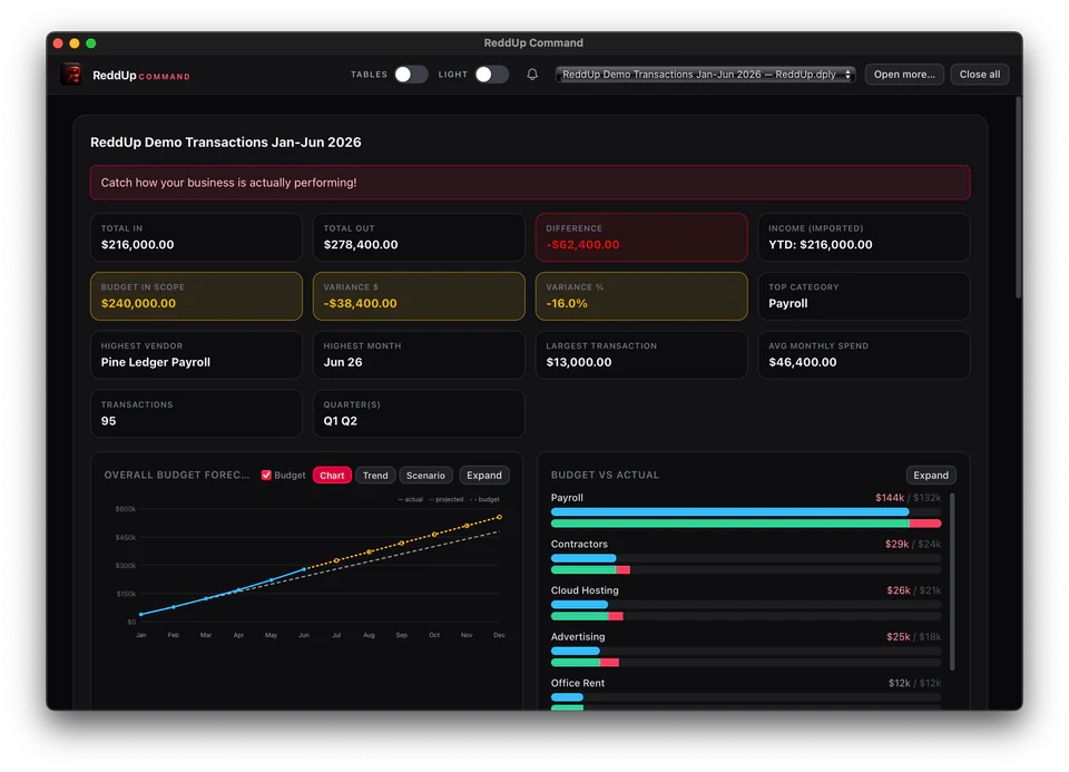 ReddUp Command demo dashboard showing income, spending, budget comparisons and financial charts